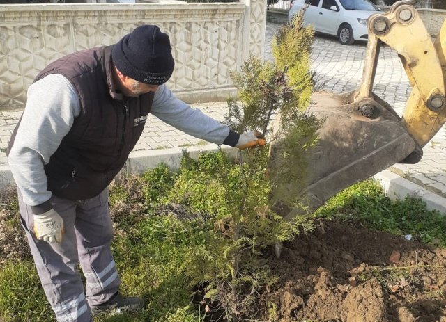 Turgutlu Belediyesi Farklı Noktalarda Çalışmalarını Sürdürüyor

Kentin birçok noktasında yaz kış demeden çalışan Turgutlu Belediyesi Fen İşleri Müdürlüğü ile Park ve Bahçeler Müdürlüğü ekiplerinin ağaçlandırma, yol kaldırma ve tadilat çalışmaları aralıksız sürüyor.