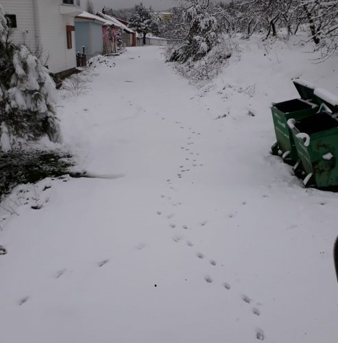 Teyakkuz halinde
olan Fen İşleri Müdürlüğü ekipleri ihtiyaç duyulan bölgelerde çalışmalarına ise
devam ediyor. Turgutlu Belediyesi, kar yağışının yeniden başlama ihtimaline
karşı yol güvenliğinin sağlanması adına iş makinelerini hazırda bekletiyor.