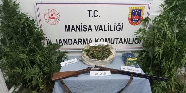 Manisa İl Jandarma Komutanlığı KOM Şb.  Md.lüğü ve Kula İlçe Jandarma Komutanlığı ekipleri tarafından yapılan istihbari çalışmalar neticesinde, 09 Ağustos 2023 günü saat 19.30 sıralarında  H.P. isimli şahsın ikametgâhı ve eklentilerinde yapılan aramada

- (386) kök Kenever Bitkisi,
- (473) gr Kubar Esrar,
- (1) Adet Av tüfeği ve 400 adet tüfek kartuşu ele
geçirilmiş olup, ilgili şahıs  adli makamlara sevk edilmek üzere gözaltına alınmıştı
