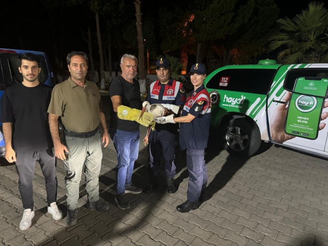 KONU: Yaralı Leyleğin Tedavi Edilmek Üzere Doğa Koruma ve Milli Parklar Müdürlüğüne Teslimi

Manisa İl Jandarma Komutanlığı Çevre Doğa ve Hayvanları Koruma Timi Saruhanlı İlçesinde meydana gelen orman yangınında yaralanan leyleğe ilk müdahaleyi yaparak, leyleği Doğa Koruma ve Milli Parklar Müdürlüğü ekiplerine teslim etmiştir.