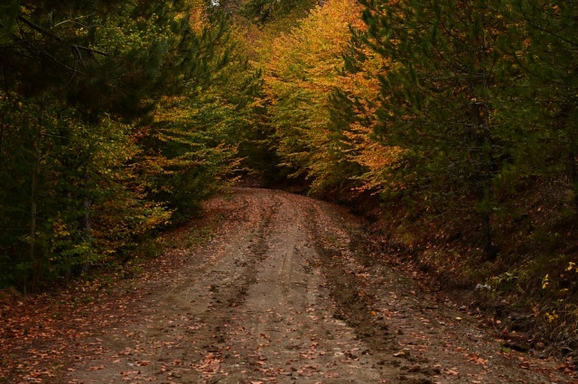 Doğanın her mevsim farklı bir güzellik sunduğu Demirci’de sonbahar manzaraları, ilçenin doğal turizm potansiyelini de ön plana çıkarıyor.