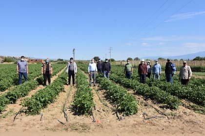 Manisa İl Tarım ve Orman Müdürü Metin Öztürk, Bayram ziyaretleri kapsamında Salihli İlçesindeki üreticilerle bir araya geldi.