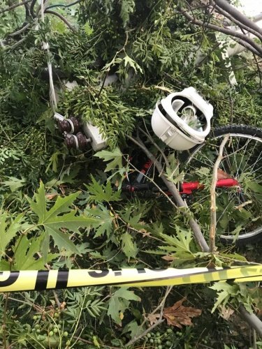 Geriye doğru üstünde sürücüsü olmadığı halde hareket ederek kontrolsüz bir şekilde çocuk parkına giren tır çevredeki elektrik direklerini devirdi parkın etrafında bulunan müfredata da zarar verdi.