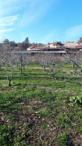 Demirci ilçesi eski İzmir yolu asfalta sıfır konumda toplam 6750 Metre kare , Demirci ilçesine 10 dakika mesafedeki Doğanın içinde  huzur bulacağınız bir yer satılık..
4.5 dönümünde 14 yaşında tam verimde olup çok güzel maddi  bir getirisi olan 250 adet deveci armut bahçesi...
Geri kalan alanında tam kapalı besihane ve 2 kademeli yarı açık,toplamda 150-200 büyük baş veya en az 400-500 küçükbaşın  barınabileceği besihaneler...  Yem saman depoları,20 tonluk su deposu var.
Kendine ait elektriği ve artezyen suyu... 2 katlı birbirinden bağımsız evi olan doğanın içinde mükemmel bir yer...
Üretirken yaşamınıza yaşam katacak doğal zenginlik içinde huzurlu bir yaşam tercih edenlerin kaçırmaması gereken yer...
Müracaat : +90 533 457 71 37 - 0536 393 7850