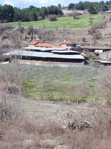 Demirci ilçesi eski İzmir yolu asfalta sıfır konumda toplam 6750 Metre kare , Demirci ilçesine 10 dakika mesafedeki Doğanın içinde  huzur bulacağınız bir yer satılık..
4.5 dönümünde 14 yaşında tam verimde olup çok güzel maddi  bir getirisi olan 250 adet deveci armut bahçesi...
Geri kalan alanında tam kapalı besihane ve 2 kademeli yarı açık,toplamda 150-200 büyük baş veya en az 400-500 küçükbaşın  barınabileceği besihaneler...  Yem saman depoları,20 tonluk su deposu var.
Kendine ait elektriği ve artezyen suyu... 2 katlı birbirinden bağımsız evi olan doğanın içinde mükemmel bir yer...
Üretirken yaşamınıza yaşam katacak doğal zenginlik içinde huzurlu bir yaşam tercih edenlerin kaçırmaması gereken yer...
Müracaat : +90 533 457 71 37 - 0536 393 7850