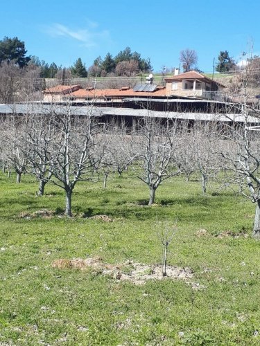 Demirci ilçesi eski İzmir yolu asfalta sıfır konumda toplam 6750 Metre kare , Demirci ilçesine 10 dakika mesafedeki Doğanın içinde  huzur bulacağınız bir yer satılık..
4.5 dönümünde 14 yaşında tam verimde olup çok güzel maddi  bir getirisi olan 250 adet deveci armut bahçesi...
Geri kalan alanında tam kapalı besihane ve 2 kademeli yarı açık,toplamda 150-200 büyük baş veya en az 400-500 küçükbaşın  barınabileceği besihaneler...  Yem saman depoları,20 tonluk su deposu var.
Kendine ait elektriği ve artezyen suyu... 2 katlı birbirinden bağımsız evi olan doğanın içinde mükemmel bir yer...
Üretirken yaşamınıza yaşam katacak doğal zenginlik içinde huzurlu bir yaşam tercih edenlerin kaçırmaması gereken yer...
Müracaat : +90 533 457 71 37 - 0536 393 7850
