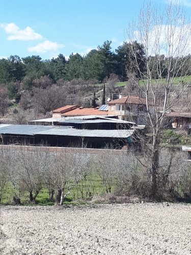 Demirci ilçesi eski İzmir yolu asfalta sıfır konumda toplam 6750 Metre kare , Demirci ilçesine 10 dakika mesafedeki Doğanın içinde  huzur bulacağınız bir yer satılık..
4.5 dönümünde 14 yaşında tam verimde olup çok güzel maddi  bir getirisi olan 250 adet deveci armut bahçesi...
Geri kalan alanında tam kapalı besihane ve 2 kademeli yarı açık,toplamda 150-200 büyük baş veya en az 400-500 küçükbaşın  barınabileceği besihaneler...  Yem saman depoları,20 tonluk su deposu var.
Kendine ait elektriği ve artezyen suyu... 2 katlı birbirinden bağımsız evi olan doğanın içinde mükemmel bir yer...
Üretirken yaşamınıza yaşam katacak doğal zenginlik içinde huzurlu bir yaşam tercih edenlerin kaçırmaması gereken yer...
Müracaat : +90 533 457 71 37 - 0536 393 7850