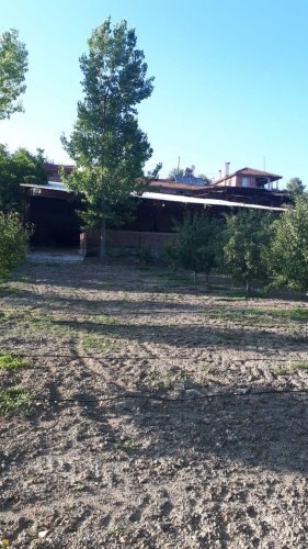Demirci ilçesi eski İzmir yolu asfalta sıfır konumda toplam 6750 Metre kare , Demirci ilçesine 10 dakika mesafedeki Doğanın içinde  huzur bulacağınız bir yer satılık..
4.5 dönümünde 14 yaşında tam verimde olup çok güzel maddi  bir getirisi olan 250 adet deveci armut bahçesi...
Geri kalan alanında tam kapalı besihane ve 2 kademeli yarı açık,toplamda 150-200 büyük baş veya en az 400-500 küçükbaşın  barınabileceği besihaneler...  Yem saman depoları,20 tonluk su deposu var.
Kendine ait elektriği ve artezyen suyu... 2 katlı birbirinden bağımsız evi olan doğanın içinde mükemmel bir yer...
Üretirken yaşamınıza yaşam katacak doğal zenginlik içinde huzurlu bir yaşam tercih edenlerin kaçırmaması gereken yer...
Müracaat : +90 533 457 71 37 - 0536 393 7850