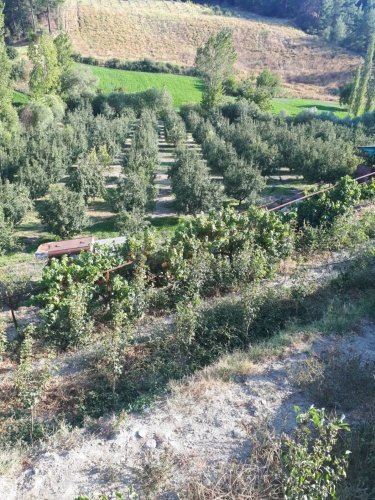 Demirci ilçesi eski İzmir yolu asfalta sıfır konumda toplam 6750 Metre kare , Demirci ilçesine 10 dakika mesafedeki Doğanın içinde  huzur bulacağınız bir yer satılık..
4.5 dönümünde 14 yaşında tam verimde olup çok güzel maddi  bir getirisi olan 250 adet deveci armut bahçesi...
Geri kalan alanında tam kapalı besihane ve 2 kademeli yarı açık,toplamda 150-200 büyük baş veya en az 400-500 küçükbaşın  barınabileceği besihaneler...  Yem saman depoları,20 tonluk su deposu var.
Kendine ait elektriği ve artezyen suyu... 2 katlı birbirinden bağımsız evi olan doğanın içinde mükemmel bir yer...
Üretirken yaşamınıza yaşam katacak doğal zenginlik içinde huzurlu bir yaşam tercih edenlerin kaçırmaması gereken yer...
Müracaat : +90 533 457 71 37 - 0536 393 7850