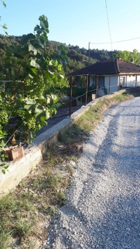 Demirci ilçesi eski İzmir yolu asfalta sıfır konumda toplam 6750 Metre kare , Demirci ilçesine 10 dakika mesafedeki Doğanın içinde  huzur bulacağınız bir yer satılık..
4.5 dönümünde 14 yaşında tam verimde olup çok güzel maddi  bir getirisi olan 250 adet deveci armut bahçesi...
Geri kalan alanında tam kapalı besihane ve 2 kademeli yarı açık,toplamda 150-200 büyük baş veya en az 400-500 küçükbaşın  barınabileceği besihaneler...  Yem saman depoları,20 tonluk su deposu var.
Kendine ait elektriği ve artezyen suyu... 2 katlı birbirinden bağımsız evi olan doğanın içinde mükemmel bir yer...
Üretirken yaşamınıza yaşam katacak doğal zenginlik içinde huzurlu bir yaşam tercih edenlerin kaçırmaması gereken yer...
Müracaat : +90 533 457 71 37 - 0536 393 7850