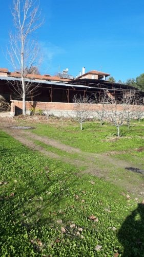 Demirci ilçesi eski İzmir yolu asfalta sıfır konumda toplam 6750 Metre kare , Demirci ilçesine 10 dakika mesafedeki Doğanın içinde  huzur bulacağınız bir yer satılık..
4.5 dönümünde 14 yaşında tam verimde olup çok güzel maddi  bir getirisi olan 250 adet deveci armut bahçesi...
Geri kalan alanında tam kapalı besihane ve 2 kademeli yarı açık,toplamda 150-200 büyük baş veya en az 400-500 küçükbaşın  barınabileceği besihaneler...  Yem saman depoları,20 tonluk su deposu var.
Kendine ait elektriği ve artezyen suyu... 2 katlı birbirinden bağımsız evi olan doğanın içinde mükemmel bir yer...
Üretirken yaşamınıza yaşam katacak doğal zenginlik içinde huzurlu bir yaşam tercih edenlerin kaçırmaması gereken yer...
Müracaat : +90 533 457 71 37 - 0536 393 7850