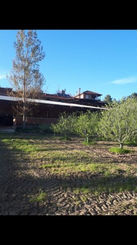 Demirci ilçesi eski İzmir yolu asfalta sıfır konumda toplam 6750 Metre kare , Demirci ilçesine 10 dakika mesafedeki Doğanın içinde  huzur bulacağınız bir yer satılık..
4.5 dönümünde 14 yaşında tam verimde olup çok güzel maddi  bir getirisi olan 250 adet deveci armut bahçesi...
Geri kalan alanında tam kapalı besihane ve 2 kademeli yarı açık,toplamda 150-200 büyük baş veya en az 400-500 küçükbaşın  barınabileceği besihaneler...  Yem saman depoları,20 tonluk su deposu var.
Kendine ait elektriği ve artezyen suyu... 2 katlı birbirinden bağımsız evi olan doğanın içinde mükemmel bir yer...
Üretirken yaşamınıza yaşam katacak doğal zenginlik içinde huzurlu bir yaşam tercih edenlerin kaçırmaması gereken yer...
Müracaat : +90 533 457 71 37 - 0536 393 7850