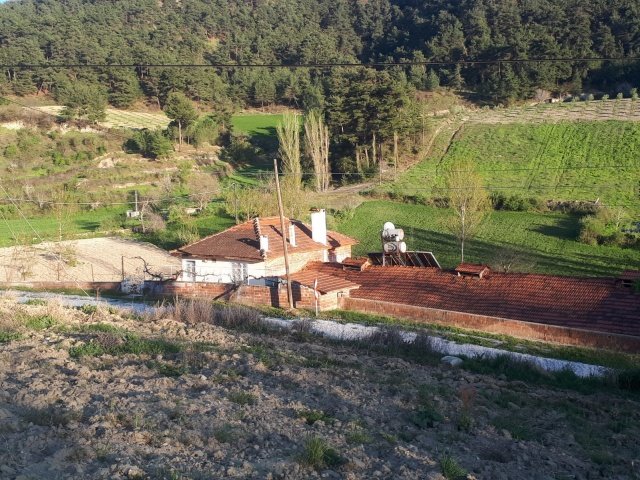 Demirci ilçesi eski İzmir yolu asfalta sıfır konumda toplam 6750 Metre kare , Demirci ilçesine 10 dakika mesafedeki Doğanın içinde  huzur bulacağınız bir yer satılık..
4.5 dönümünde 14 yaşında tam verimde olup çok güzel maddi  bir getirisi olan 250 adet deveci armut bahçesi...
Geri kalan alanında tam kapalı besihane ve 2 kademeli yarı açık,toplamda 150-200 büyük baş veya en az 400-500 küçükbaşın  barınabileceği besihaneler...  Yem saman depoları,20 tonluk su deposu var.
Kendine ait elektriği ve artezyen suyu... 2 katlı birbirinden bağımsız evi olan doğanın içinde mükemmel bir yer...
Üretirken yaşamınıza yaşam katacak doğal zenginlik içinde huzurlu bir yaşam tercih edenlerin kaçırmaması gereken yer...
Müracaat : +90 533 457 71 37 - 0536 393 7850