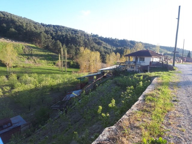 Demirci ilçesi eski İzmir yolu asfalta sıfır konumda toplam 6750 Metre kare , Demirci ilçesine 10 dakika mesafedeki Doğanın içinde  huzur bulacağınız bir yer satılık..
4.5 dönümünde 14 yaşında tam verimde olup çok güzel maddi  bir getirisi olan 250 adet deveci armut bahçesi...
Geri kalan alanında tam kapalı besihane ve 2 kademeli yarı açık,toplamda 150-200 büyük baş veya en az 400-500 küçükbaşın  barınabileceği besihaneler...  Yem saman depoları,20 tonluk su deposu var.
Kendine ait elektriği ve artezyen suyu... 2 katlı birbirinden bağımsız evi olan doğanın içinde mükemmel bir yer...
Üretirken yaşamınıza yaşam katacak doğal zenginlik içinde huzurlu bir yaşam tercih edenlerin kaçırmaması gereken yer...
Müracaat : +90 533 457 71 37 - 0536 393 7850