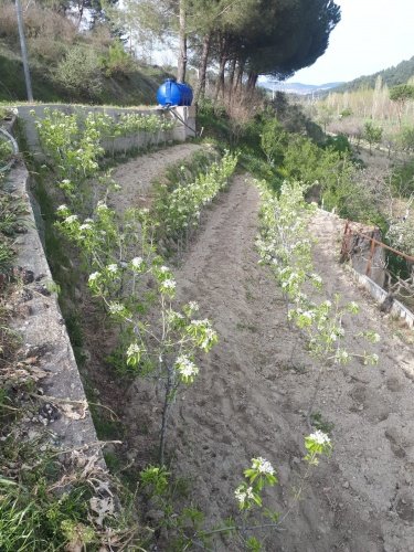 Demirci ilçesi eski İzmir yolu asfalta sıfır konumda toplam 6750 Metre kare , Demirci ilçesine 10 dakika mesafedeki Doğanın içinde  huzur bulacağınız bir yer satılık..
4.5 dönümünde 14 yaşında tam verimde olup çok güzel maddi  bir getirisi olan 250 adet deveci armut bahçesi...
Geri kalan alanında tam kapalı besihane ve 2 kademeli yarı açık,toplamda 150-200 büyük baş veya en az 400-500 küçükbaşın  barınabileceği besihaneler...  Yem saman depoları,20 tonluk su deposu var.
Kendine ait elektriği ve artezyen suyu... 2 katlı birbirinden bağımsız evi olan doğanın içinde mükemmel bir yer...
Üretirken yaşamınıza yaşam katacak doğal zenginlik içinde huzurlu bir yaşam tercih edenlerin kaçırmaması gereken yer...
Müracaat : +90 533 457 71 37 - 0536 393 7850