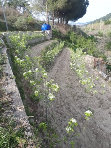 Demirci ilçesi eski İzmir yolu asfalta sıfır konumda toplam 6750 Metre kare , Demirci ilçesine 10 dakika mesafedeki Doğanın içinde  huzur bulacağınız bir yer satılık..
4.5 dönümünde 14 yaşında tam verimde olup çok güzel maddi  bir getirisi olan 250 adet deveci armut bahçesi...
Geri kalan alanında tam kapalı besihane ve 2 kademeli yarı açık,toplamda 150-200 büyük baş veya en az 400-500 küçükbaşın  barınabileceği besihaneler...  Yem saman depoları,20 tonluk su deposu var.
Kendine ait elektriği ve artezyen suyu... 2 katlı birbirinden bağımsız evi olan doğanın içinde mükemmel bir yer...
Üretirken yaşamınıza yaşam katacak doğal zenginlik içinde huzurlu bir yaşam tercih edenlerin kaçırmaması gereken yer...
Müracaat : +90 533 457 71 37 - 0536 393 7850