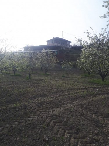 Demirci ilçesi eski İzmir yolu asfalta sıfır konumda toplam 6750 Metre kare , Demirci ilçesine 10 dakika mesafedeki Doğanın içinde  huzur bulacağınız bir yer satılık..
4.5 dönümünde 14 yaşında tam verimde olup çok güzel maddi  bir getirisi olan 250 adet deveci armut bahçesi...
Geri kalan alanında tam kapalı besihane ve 2 kademeli yarı açık,toplamda 150-200 büyük baş veya en az 400-500 küçükbaşın  barınabileceği besihaneler...  Yem saman depoları,20 tonluk su deposu var.
Kendine ait elektriği ve artezyen suyu... 2 katlı birbirinden bağımsız evi olan doğanın içinde mükemmel bir yer...
Üretirken yaşamınıza yaşam katacak doğal zenginlik içinde huzurlu bir yaşam tercih edenlerin kaçırmaması gereken yer...
Müracaat : +90 533 457 71 37 - 0536 393 7850