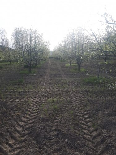 Demirci ilçesi eski İzmir yolu asfalta sıfır konumda toplam 6750 Metre kare , Demirci ilçesine 10 dakika mesafedeki Doğanın içinde  huzur bulacağınız bir yer satılık..
4.5 dönümünde 14 yaşında tam verimde olup çok güzel maddi  bir getirisi olan 250 adet deveci armut bahçesi...
Geri kalan alanında tam kapalı besihane ve 2 kademeli yarı açık,toplamda 150-200 büyük baş veya en az 400-500 küçükbaşın  barınabileceği besihaneler...  Yem saman depoları,20 tonluk su deposu var.
Kendine ait elektriği ve artezyen suyu... 2 katlı birbirinden bağımsız evi olan doğanın içinde mükemmel bir yer...
Üretirken yaşamınıza yaşam katacak doğal zenginlik içinde huzurlu bir yaşam tercih edenlerin kaçırmaması gereken yer...
Müracaat : +90 533 457 71 37 - 0536 393 7850