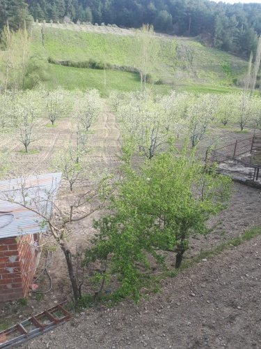 Demirci ilçesi eski İzmir yolu asfalta sıfır konumda toplam 6750 Metre kare , Demirci ilçesine 10 dakika mesafedeki Doğanın içinde  huzur bulacağınız bir yer satılık..
4.5 dönümünde 14 yaşında tam verimde olup çok güzel maddi  bir getirisi olan 250 adet deveci armut bahçesi...
Geri kalan alanında tam kapalı besihane ve 2 kademeli yarı açık,toplamda 150-200 büyük baş veya en az 400-500 küçükbaşın  barınabileceği besihaneler...  Yem saman depoları,20 tonluk su deposu var.
Kendine ait elektriği ve artezyen suyu... 2 katlı birbirinden bağımsız evi olan doğanın içinde mükemmel bir yer...
Üretirken yaşamınıza yaşam katacak doğal zenginlik içinde huzurlu bir yaşam tercih edenlerin kaçırmaması gereken yer...
Müracaat : +90 533 457 71 37 - 0536 393 7850