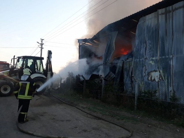 Yangında zarar görmeyen yem paketleri dışarıya çıkartılırken, yaklaşık 800 ton saman ve yonca kullanılmaz hale geldi. Jandarmanın olayla ilgili soruşturması sürüyor.