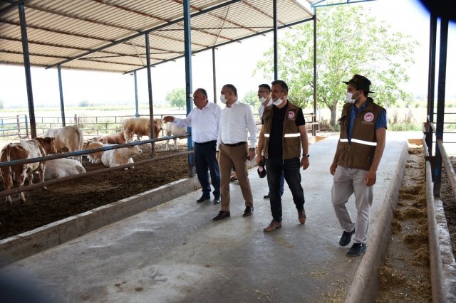 İşletmede bulunan yaklaşık 800 baş kaliteli besilik hayvanda hiçbir kayıp olmamasının bir anlamda teselli olduğunu ifade eden İl Müdürü Metin Öztürk,  Faruk Aydın’a geçmiş olsun dileklerini iletti. Son zamanlarda gerek İlimizde gerekse diğer İllerde kuru ot yangınlarının sıkça yaşanmaya başlamasından dolayı yetiştiricilere bu konuda tedbirli olmaları konusunda uyarılarda bulunan Metin Öztürk, “Tam kurumaya bırakılmamış, nem barındıran ot balyaları, sıcak havalarda kızışma yapmak suretiyle yangınlara neden olabilmektedir.  Bu zor gününde üreticimizin yanında olmak bizim görevimiz. Bundan sonraki süreçte de İl Müdürlüğü olarak elimizden gelen yardımı yapmaya hazırız” dedi.