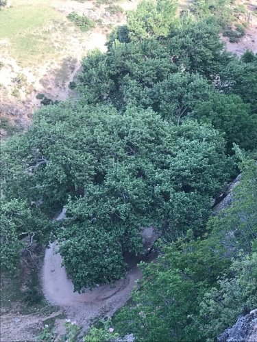 Ekolojik turizm açısından bu değerlerin büyük önem arz ettiğini belirten Aysan “ yörenin trekking için biçilmiş kaftan olduğu yörenin en yüksek tepesi ziyaret tepe ile oluşturulacak bir rota ile hareketlenme sağlanarak ekonomik girdi sağlanabileceğine dikkat çekti.”
