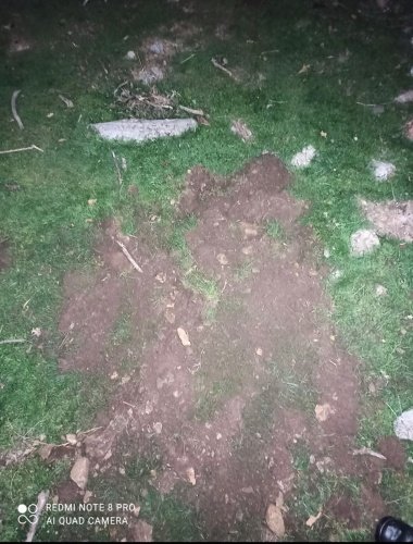 KONU:2863 Kültür ve Tabiat Varlıkları Kanununa Muhalefet

Manisa İli Salihli ilçesi Başlıoğlu Mahallesinde (Sart J.Krk.K.lığı sorumluluk alanı) 14.11.2021 günü saat 19.00 sıralarında alınan duyum üzerine yapılan kontrollerde, M.E.(1981/E) , A.E (1992/E) ve İ.K (2004/E) isimli şahısların  Karadut Mevkisinde,3.derece arkeolojik sit alanı içerisinde “RDR DEEP PRO”markalı arama  dedektörü ile izinsiz kazı yaptıkları tespit edilmiş olup şahıslar olay yerinde suç üstü yakalanmıştır. Kaçak kazıda kullanılan  arama dedektörü muhafaza altına alınmıştır. Cumhuriyet Savcısından alınan talimat doğrultusunda tahkikata başlanılmıştır . Şahısların avukat huzurunda  ifadeleri alınmasına müteakip  serbest bırakılmışlardır.