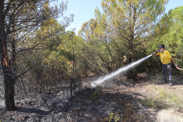 Alınan bilgiye göre Çakmaklı ve Bahadır arasındaki Karatepe mevkisinde 4 farklı noktada yangın çıktı. Yangın İtfaiye, Orman İşletme Şefliği, Saruhanlı Belediyesi ve köylülerin müdahalesi ile kontrol altına alındı.