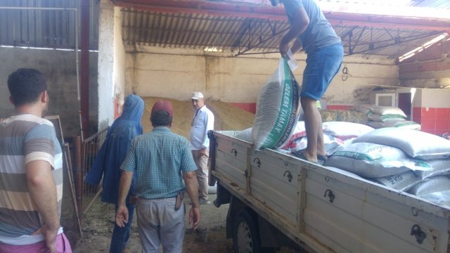 Manisa Büyükşehir Belediye Başkanı Cengiz Ergün’ün talimatlarıyla tahliyesi sağlanan hayvanların yem ihtiyacının giderildiğini belirten İtfaiye Dairesi Başkanı Gürhan İnal, hayvanların yaklaşık 4 günlük yem sorununun giderildiğini, yangını kontrol altına alabilmek için de tüm ekiplerin seferber olduğunu söyledi.