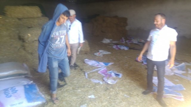 Bölgeye yakın evler tahliye edilirken, İl Tarım ve Orman Müdürlüğü de, Hacıköseli Mahallesi’ndeki 169 küçükbaş ve 40 büyükbaş hayvanın tahliyesini sağladı. Manisa Büyükşehir Belediyesi Kırsal Hizmetler Dairesi Başkanlığı ve İtfaiye Dairesi Başkanlığı da, tahliye edilen hayvanlar için hızla harekete geçerek, 20 balya yonca ve 1000 kilogram yem desteği sağladı.