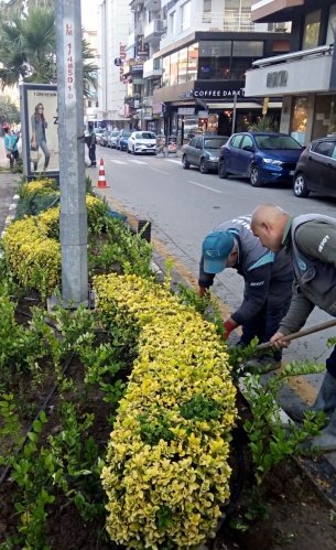 Manisa'da yeşil alanların arttırılması noktasında çalışmalarına ara vermeden devam eden Manisa Büyükşehir Belediyesi, mevcut yeşil alanların bakım çalışmalarını da ihmal etmiyor.