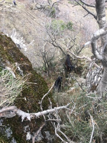 Manisa Büyükşehir Belediyesi İtfaiye Dairesi Başkanlığı’na bağlı ekipler, bu kez Demirci ilçesi Eskihisar Mahallesi’nde dağda mahsur kalan keçi için seferber oldu. İtfaiye ekipleri, uzun uğraşlar sonrası keçiyi mahsur kaldığı yerden kurtardı.