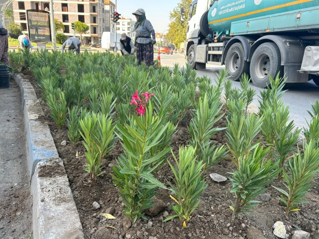 Manisa Büyükşehir Belediyesi Kent Estetiği Dairesi Başkanlığı şehrin sokak, cadde ve meydanlarında bulunan yeşil alanlarda yaptığı bakım çalışmalarına hız kesmeden devam ediyor. Mimarlık günü kapsamında Kırmızı Ev Önü peyzaj alanında dolomit ve cüruf ile desen yapılarak alana görsellik kazandırıldı.