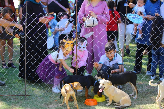 Karabağlar Belediyesi, hayvan sağlığı merkezinde barınan can dostlarımızı sahiplendirmek için  “Yuvam Olur musun?” etkinliğinin ikincisini düzenledi. Etkinlik sonunda 13 köpek ve 13 kedi olmak üzere toplam 26 hayvan sıcak yuvalarına kavuştu.