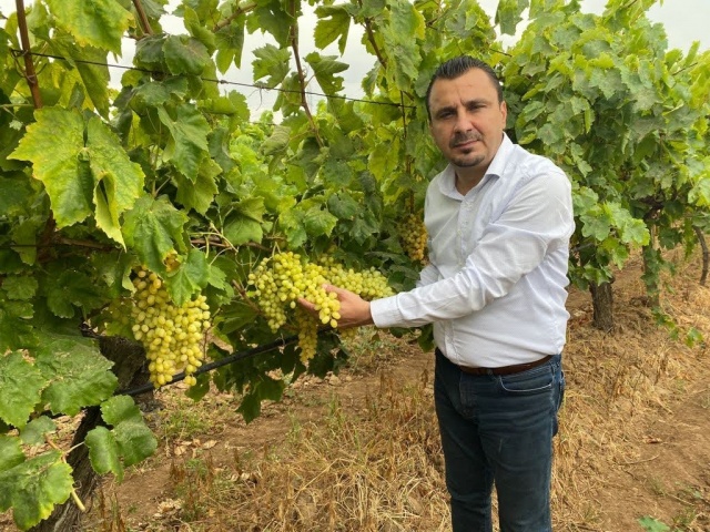 CHP’li Başevirgen, “Kuru Üzüm Taban Fiyatı 65 Liranın Altında Olmamalı”

 

CHP Manisa Milletvekili ve Tarım Orman ve Köyişleri Komisyonu Üyesi Bekir Başevirgen, ülkemizin en önemli ihraç ürünlerinden olan Sultaniye Üzümünün hasadına başlanıldığını ve Manisalı üreticilerin açıklanacak taban fiyatı merakla beklediğini söyledi. Başevirgen, “Üreticilerimiz geç kalınmadan ve emeğinin karşılığını alabilecekleri bir fiyat bekliyor.” Dedi.

 

“Rekoltenin Çok Düşük Olması Bekleniyor.”

 

Yapılan tespitlere göre bu sene kuru üzüm rekoltesinin çok düşük seviyelerde kalacağını söyleyen Başevirgen, “Manisa’da bulunan üzüm bağlarının büyük kısmı, don ve dolu afetleri nedeniyle zaten zarar görmüştü. Ama en son darbeyi düzensiz yağışlardan kaynaklı Mildiyö Hastalığı vurdu. Üzüm üretiminde önemli verim kayıplara neden olan Mildiyö Hastalığı, bu yıl bağlarda adeta toplanacak ürün bırakmadı. Maalesef bu yıl verim kaybının %60 civarında olacağı belirtiliyor. Ziyarette bulunduğumuz birçok bağda özellikle de ova köylerimizde toplamaya değer üzüm kalmadığına şahit olduk. Geçen sene 400 bin tonu bulan rekolte bu sene 150-200 bin ton aralığında gerçekleşecek gibi görünüyor.” Dedi.

 

“Geçen Sene 25 Liraya Mal Edilen Kuru Üzümün Bu Seneki Maliyeti 50 Lira”

 

CHP’li Başevirgen yaptığı açıklamada “Verimin çok düşük olmasının yanı sıra üretim maliyetlerindeki artışları da dikkate aldığımızda üreticinin taban fiyat beklentisi çok yüksek. Yapmış oluğumuz hesaplamalara göre bir dekar için sarf edilen ilaç, gübre, mazot, su/elektrik ve işçilik giderleri 15 bin lirayı geçiyor. Geçen sene dekardan ortalama 300 kilo kuru üzüm alan üretici, bir kilo 9 numaralı kuru üzümü yaklaşık 25 liraya mal etmekteydi. Üzümcülerimiz bu sene de aynı miktarda ürün alabilirse bir kilo kuru üzümü yaklaşık 50 liraya mal etmiş olacak (Bu fiyata finans ve kapitalizasyon giderleri eklenmemiştir). Eğer dekardan 200 kilo ürün alınabilirse ki bu bile iyimser bir miktar olup o zaman kilo maliyeti 70 lirayı bulacak. Bu nedenle taban fiyat açıklanırken arzda yaşanan büyük düşüşler göz önünde bulundurulmalı ve üreticilerimiz mağdur edilmemelidir.” Dedi.

 

 

“2 Dolar Taban Fiyatı Bile Yetersiz Kalacak.”

 

Üreticilerimizin, geleceğe umutla bakabilmesi ve mevcut bağların sökülmemesi için 9 numaralı kuru üzümün kilogram fiyatının asgari 65 lira olmasını iktidardan beklediklerini söyleyen Başevirgen, “9 numaralı Sultaniye kuru üzüm taban fiyatının dünya ortalaması olan 2 doların altında olmaması gerektiğini her sene dile getiriyoruz. Maalesef bu yıl taban fiyat 2 Dolar yani 54 lira olarak açıklansa bile yetersiz kalacak. Çünkü doların paramız karşısındaki değer artışı yaşadığımız enflasyonun çok gerisinde kalmıştır. Üreticilerimizin bizzat hissettiği %100 oranındaki maliyet artışının taban fiyata yansıtılması işin doğrusudur. Bu durumda 9 numaralı kuru üzümün taban fiyatının asgari 65 lira olması gerekmektedir.” diye konuştu.

 

“1 Kilo Üzümle 1,14 Litre Mazot Alırken, Bu Yıl 0,72 Litre Alınabiliyor”

 

İşçilik, ilaç, gübre, enerji gibi girdi maliyetleri özelliklede mazot fiyatlarındaki artışlar karşısında kuru üzüm fiyatlarının sürekli gerilediğini söyleyen Başevirgen, “2021 yılında kilosu 13 liraya satılan 9 numara kuru üzüm karşılığında 2 litre mazot alınabiliyordu. Geçen yıl bu dönemlerde 27 lira olarak açıklanan taban fiyat ile 1,14 litre mazot alınabiliyordu. Bu sene ise mazotun litresi 37 lira civarında. Geçen seneki taban fiyatı ile ancak 0,72 litre mazot alınabilmekte. Üreticilerimizin çok değil 2 yıl önceki pozisyonuna dönebilmesi için yani 2 litre mazot alabilmesi için bir kilo kuru üzümün taban fiyatının 74 lira olması gerekmektedir. Görüldüğü üzere, hangi parametreleri kullanırsanız kullanın kuru üzüm fiyatının 65 liranın altında olmaması gerçeği karşımıza çıkmaktadır.” dedi.

 

“Üreticilerimizin Artık Dayanma Gücü Kalmamıştır.”

 

TMO tarafından açıklanacak olan taban alım fiyatının üretim maliyetindeki artışlar ve arzda oluşan azalmalar dikkate alınarak belirlenmesi gerektiğini söyleyen Başevirgen, “İktidar, önceki yıllarda yaptığı gibi taban fiyatı düşük açıklayarak ya da ürün alımında zorluklar yaşatarak üreticileri daha da mağdur etmemelidir. İktidar, 65 liranın altında bir taban fiyatı sakın açıklamasın. Emin olun ki eğer iktidar karışmazsa bu piyasa şartlarında bile üretici lehine bir fiyat oluşacaktır.” dedi.

 

“Çarşambanın Gelişi Perşembeden Bellidir”

 

Sahadan gelen duyumlar ve TMO’nun yaptığı uygulamaların “çarşambanın gelişi perşembeden bellidir” atasözünü hatırlattığını söyleyen Başevirgen, “TMO’nun, depolarında bulunan ve geçen yıl üreticiden 27 liraya alınan 9 numaralı kuru üzümü, geçtiğimiz Temmuz ayı içerisinde 32 lira gibi düşük bir fiyatla tüccara sattığı belirtiliyor. Uygun muhafaza şartlarında hiçbir değer kaybı yaşamayan kuru üzümün, bu enflasyonist ortamda depolama, fire ve zayiat maliyetleri dikkate alınmadan %18,5 gibi düşük bir fiyat farkıyla tüccara satılmasında hangi amaçlar gizlenmekte yakın zamanda anlaşılır. Hadi Kurumun zarar etmesini zerrece umursamadıklarını anladık. Ama kuru üzüm taban fiyatı açıklanmak üzereyken piyasaya bol miktarda ucuz ürün sürmek piyasayı kuru üzüme doyurup üreticiyi tüccarın ve ithalat lobilerinin karşısında zayıf düşürmektir. Diyelim ki yeni sezon alımları için depolarını boşaltıyor olsunlar. Böyle bir durumda dahi 32 liradan piyasaya ürün sürmek üreticiye adeta ihanet etmektir. Üreticilerimizin TMO’dan aldığı mesaj “çarşambanın gelişi perşembeden bellidir” oldu.” Dedi.

 

 

“Tarımsal Üretimin Sürdürülebilir Olmaktan Çıkmaması Gerekmekte”

 

 

İktidara bir kez daha çağrıda bulunan Manisa Milletvekili Bekir Başevirgen, “Üzüm üretiminin ne kadar zor ve meşakkatli bir tarımsal faaliyet olduğunu bu işe kafa yormuş ve emek vermiş herkes çok iyi bilir. Bu kadar çabanın ve emeğin karşılığını veremezsek, mevcut üreticilerimizi, tarıma meyilli gençlerimizi ve maalesef geleceğimizi kaybederiz. Bu sebeple altı üstü üzüm fiyatı deyip geçmesinler. Uyguladıkları yanlış ekonomi politikalarının ve seçimde yaptıkları hesapsız harcamaların bedelini çiftçilerimize ödetmekten vazgeçsinler. Çünkü asıl beka sorunu tarımsal üretimin sürdürülebilir olmaktan çıkmasıdır.” Diyerek sözlerine son verdi.