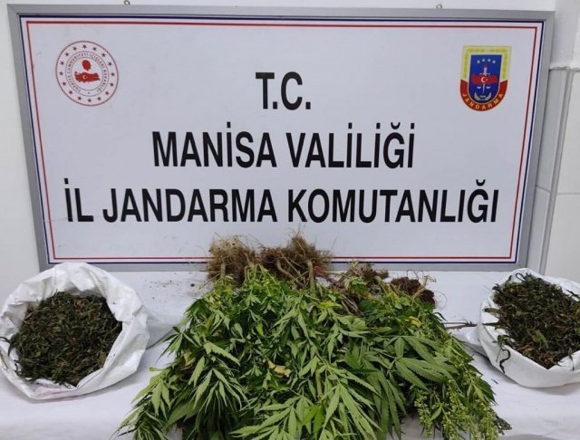 Turgutlu İlçesi Avşar Mahallesi ova bölgesinde  12.07.2021 günü saat:20.00 sıralarında Turgutlu İlçe Jandarma Komutanlığı ve Jasat timi ekipleri müşterek görev kuvveti ile yapılan istihbari çalışmalar sonucu;  Turgutlu Ilçesi  Ova Bölgesinde kenevir bitkisi ekildiği yönünde istihbari bilgi elde edilmiştir. Bölgede  Yapılan araştırma ve Drone ile arazi kontrolü esnasında dere kenarında ağaçların diplerine ekili vaziyette 60 cm ile 135 cm boylarında 48 kök kenevir bitkisi ve çuval içerisinde kurutulmuş 750 gr kubar esrar ele geçirilmiştir. Yasa dışı kenevir bitkisi eken Şüpheli şahıs veya şahısların tespiti  çalışmalarına  devam etmektedir.