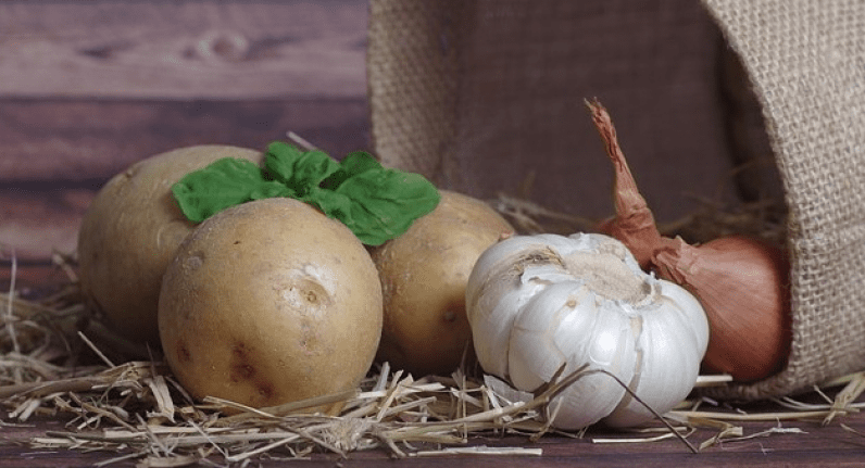 Kuru Soğan ve Patates İhracatına Ön İzin Şartı