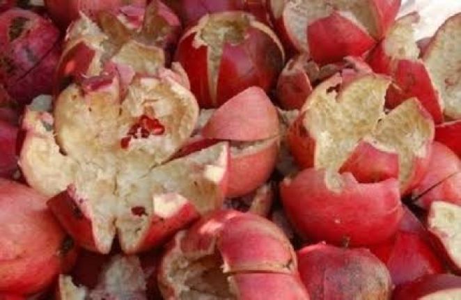 Corona Virüsü Tedavisinde Nar Kabuğu Tavsiyesi