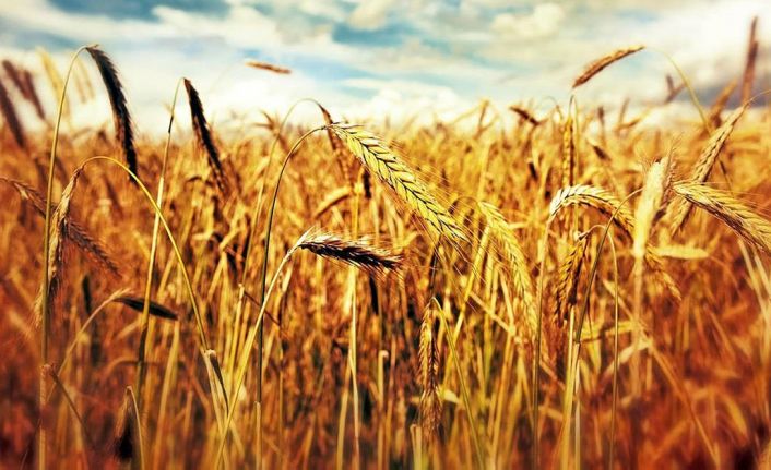 Koronavirüs Salgını Sürecinde Çiftçi Borçları Faizsiz Ertelendi