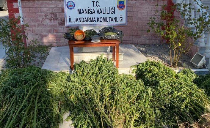 Uyuşturucu Madde İmal ve Ticareti ile Yasadışı Ekim Ortaya Çıkarıldı