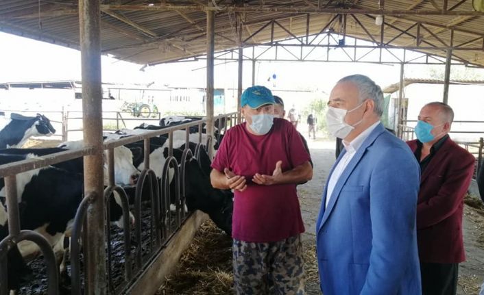 Bakırlıoğlu Süt Üreticilerini dinledi " Hayvan ithali büyük darbe vuruyor, süt inekleri kesime gidiyor"