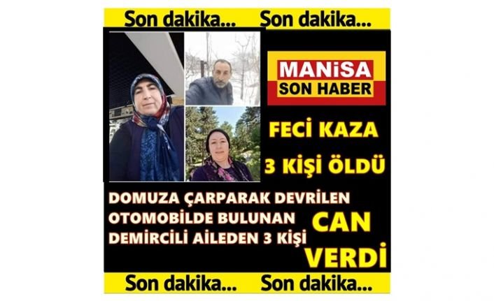 Son Dakika! Domuza çarpan otomobil devrildi! Demircili aileden 3 kişi hayatını kaybetti