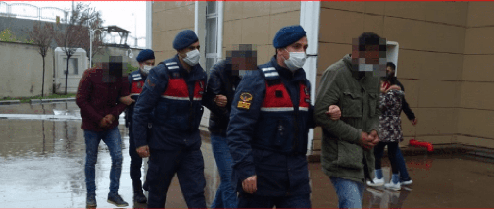 Pes Dedirten Hırsızlık Olayı! 13 bin  üzüm fidanını dikildiği yerden söküp, internet üzerinden sattılar