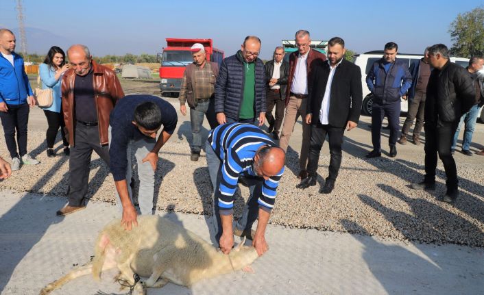 Yıllardır Çözülemeyen Yol Sorununu Çözen Başkan Akın İçin Esnaf Kurban Kesti