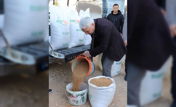 Dar gelirli ihtiyaç sahibi çiftçilere buğday tohumu ve zeytin kasası desteği