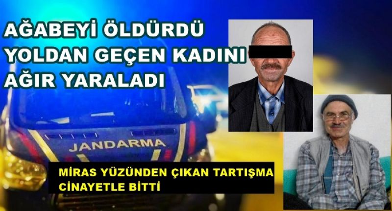 Miras yüzünden ağabeyini öldürdü, 1 kişiyi de yaraladı! Cezaevine girdi