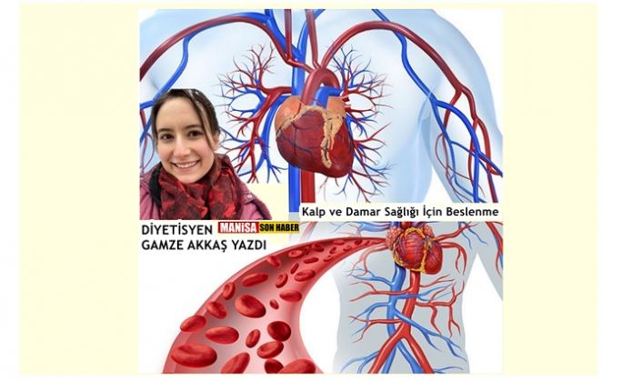 Kalp ve Damar Sağlığı İçin Beslenme / Diyetisyen Gamze Akkaş yazdı