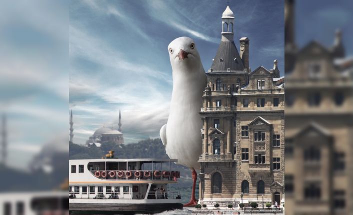 Orhan Veli’nin kimselere anlatamadığı aşkı Bella şiiri şarkı oldu