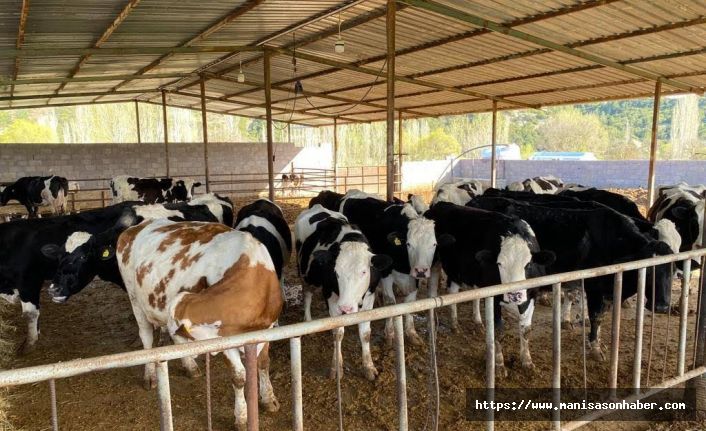 Tarımda Asıl Felaket Seneye, Hayvanlar Yem Vatandaş Et Yiyemeyecek