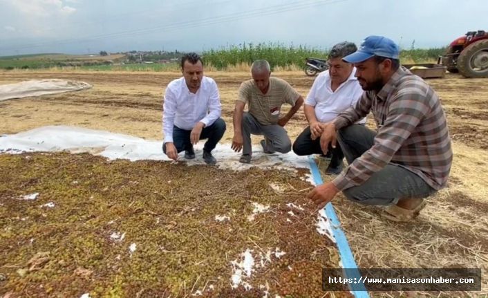 CHP’li Başevirgen, “TMO Randevuları Kapattı, Üretici Tüccarın Eline Kaldı”